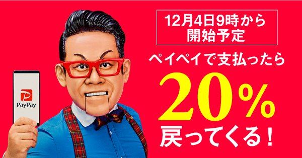 20％戻ってくる